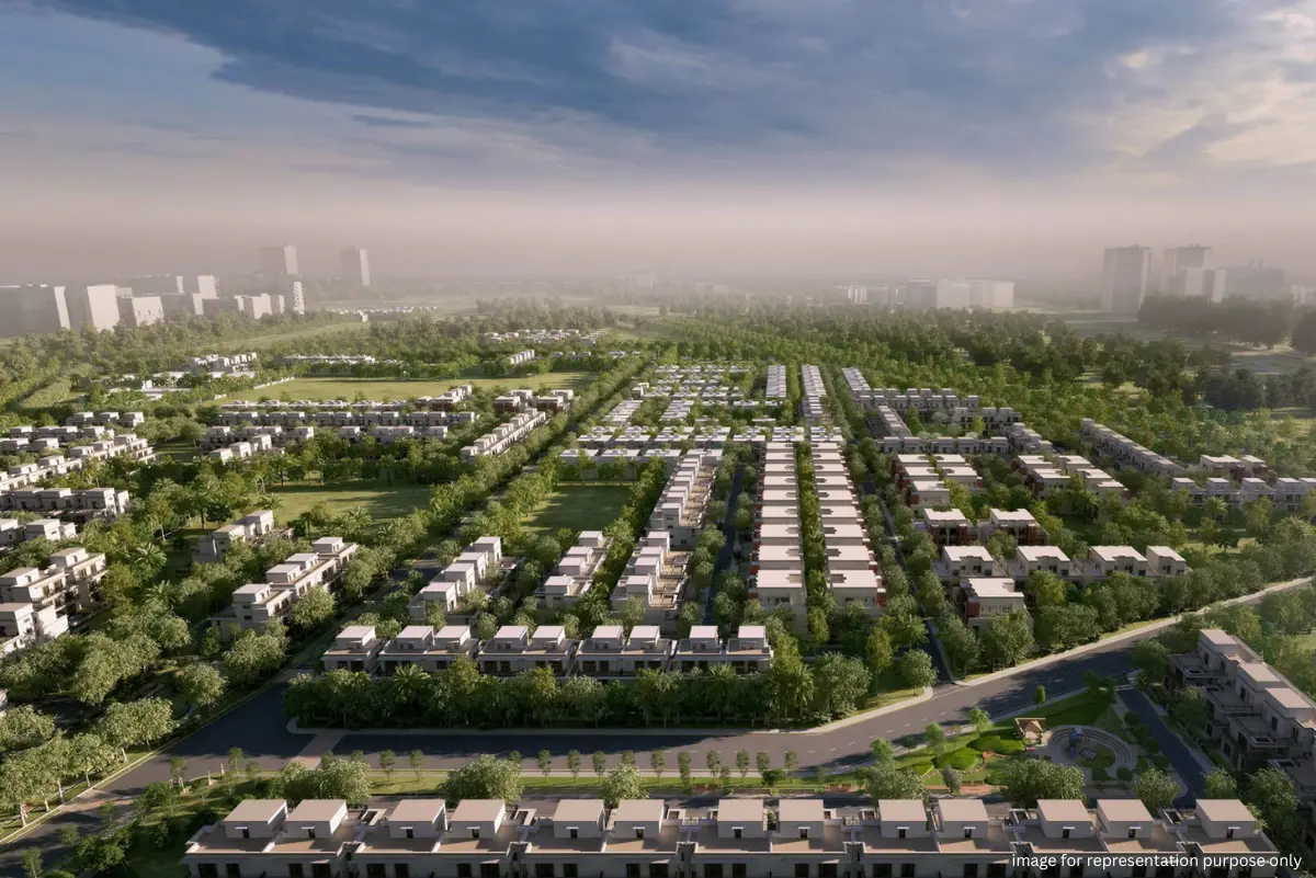 Wellness City